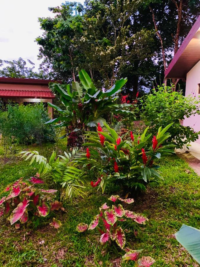 Villa Tucan La Fortuna Exterior photo